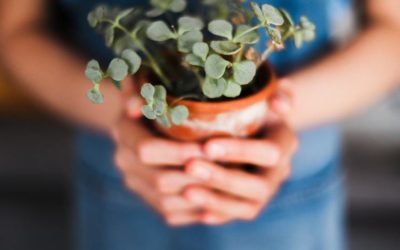 ¿En qué consiste la Psicoterapia Psicoanalítica?